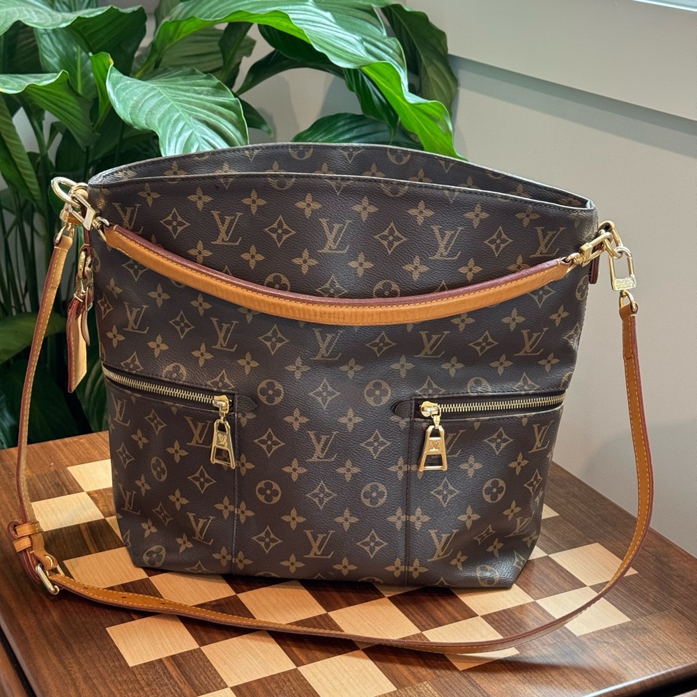 Louis Vuitton Monogram Melie Hobo Bag